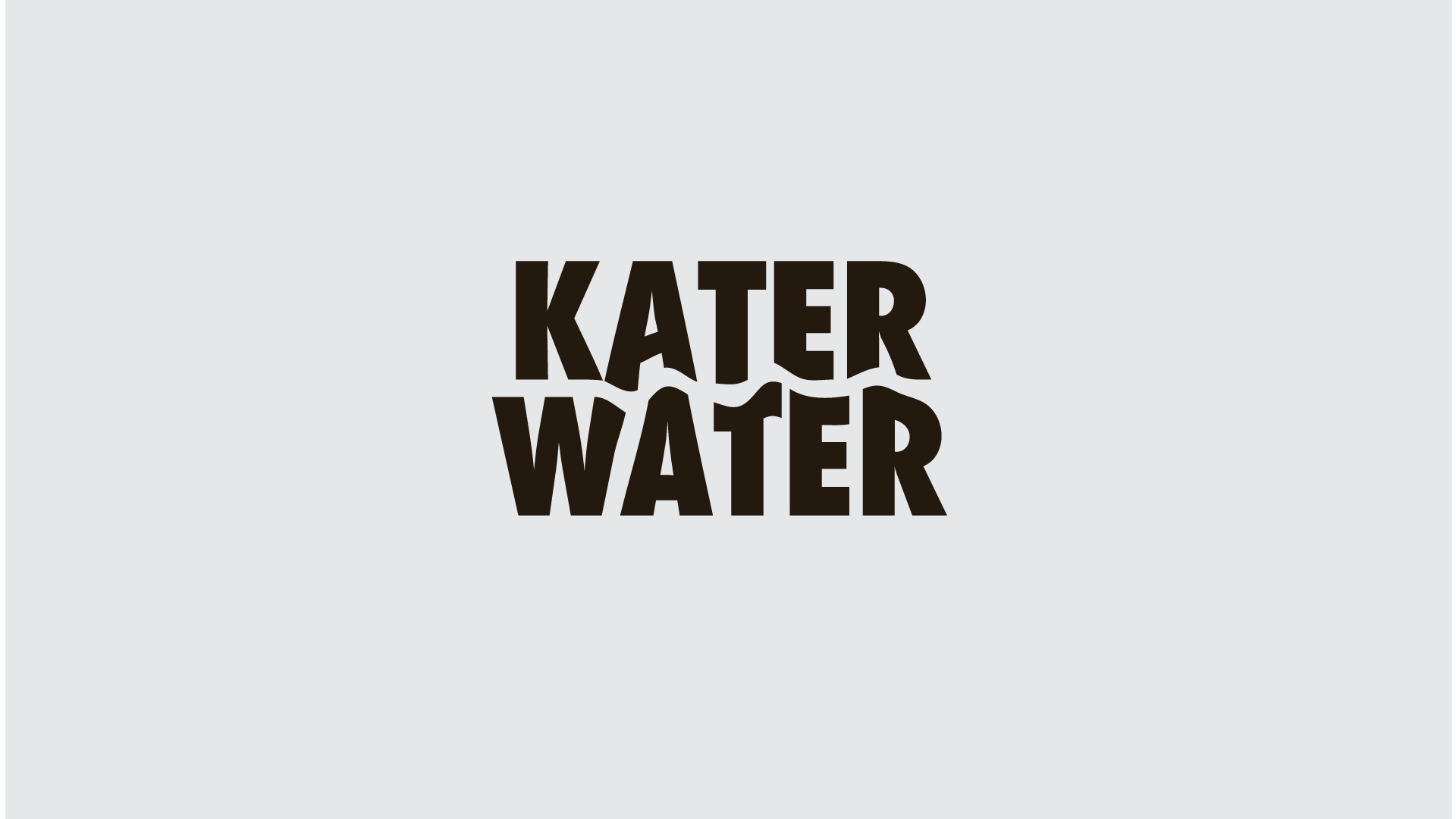 logo-ontwerp-katerwater-grafisch-ontwerper-freelance-branding-clever-logo-leconcepteur-1