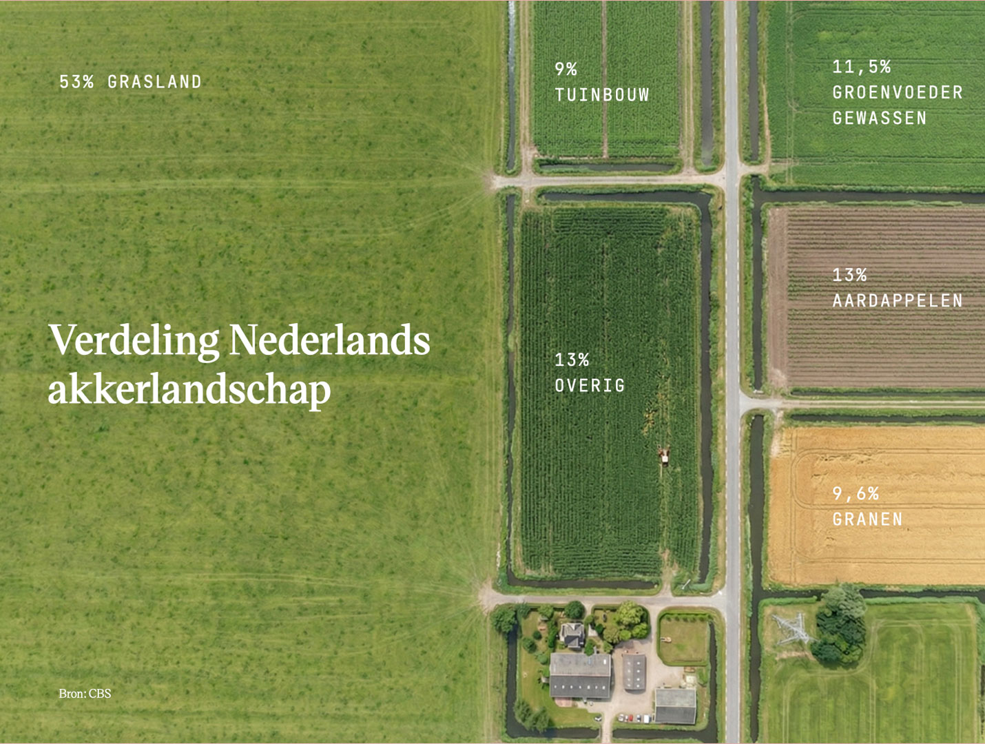 tamara-pruis-real-data-project