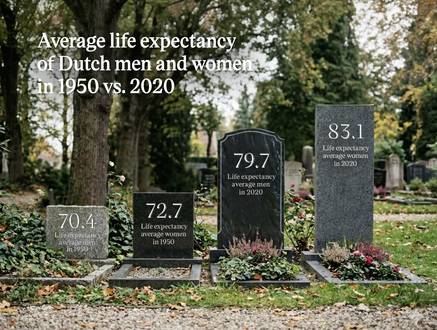 tamara-pruis-real-data-project-life